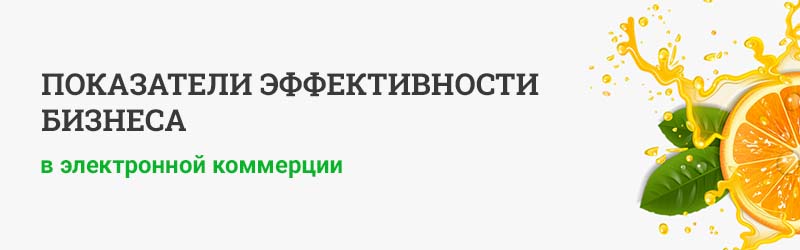 Показатели эффективности бизнеса в электронной коммерции
